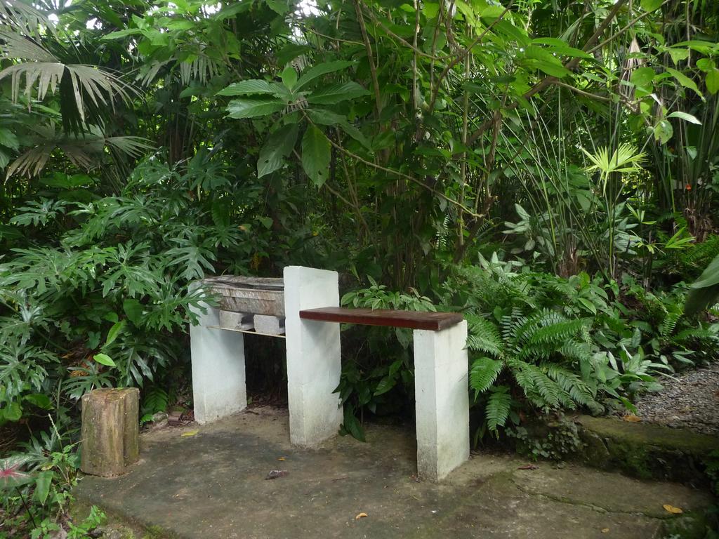 Topos Tree House Кауита Экстерьер фото