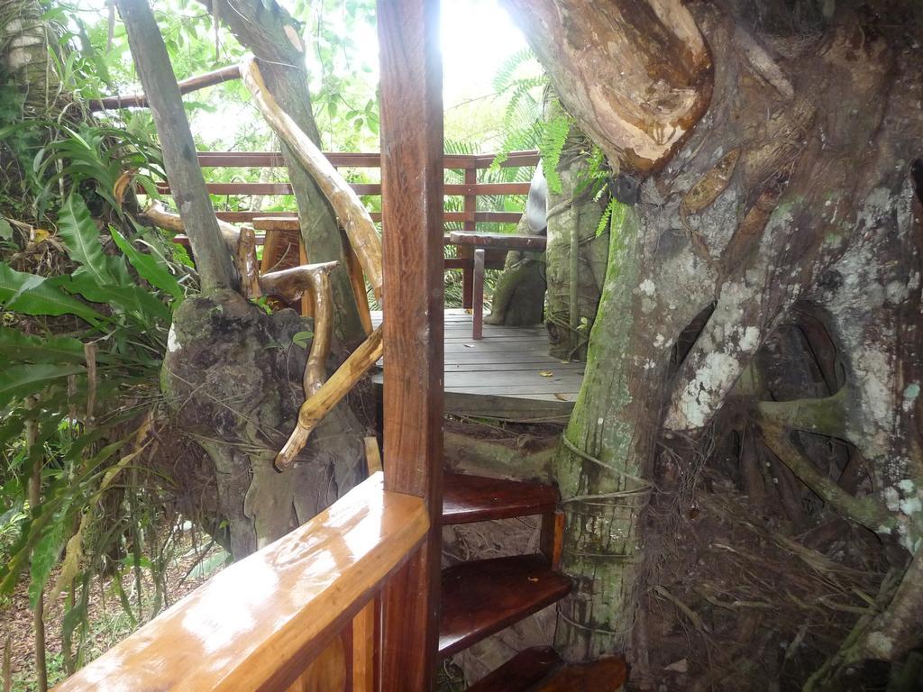 Topos Tree House Кауита Экстерьер фото