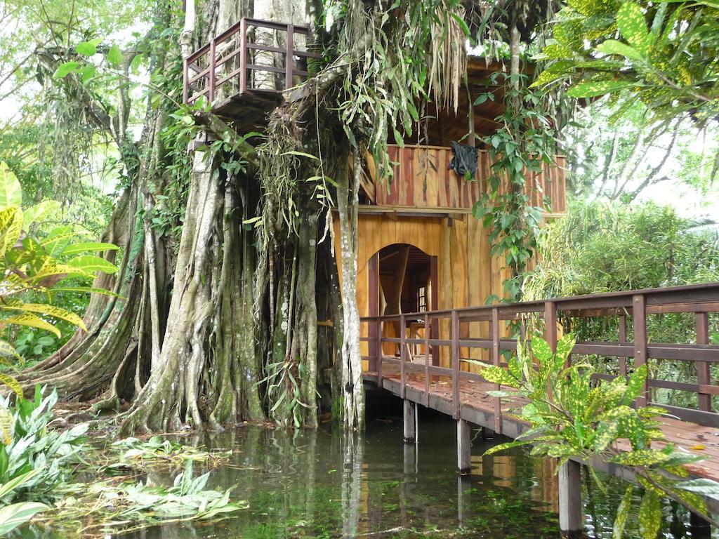 Topos Tree House Кауита Экстерьер фото