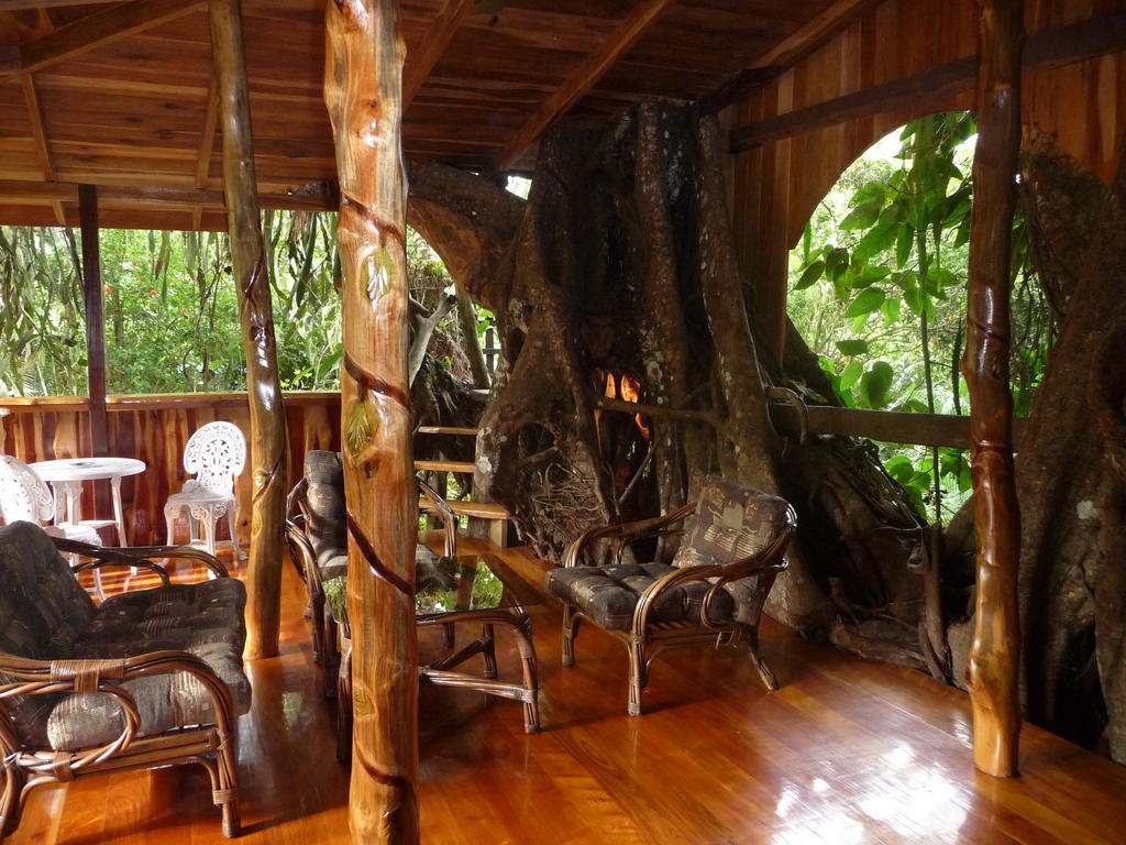 Topos Tree House Кауита Экстерьер фото